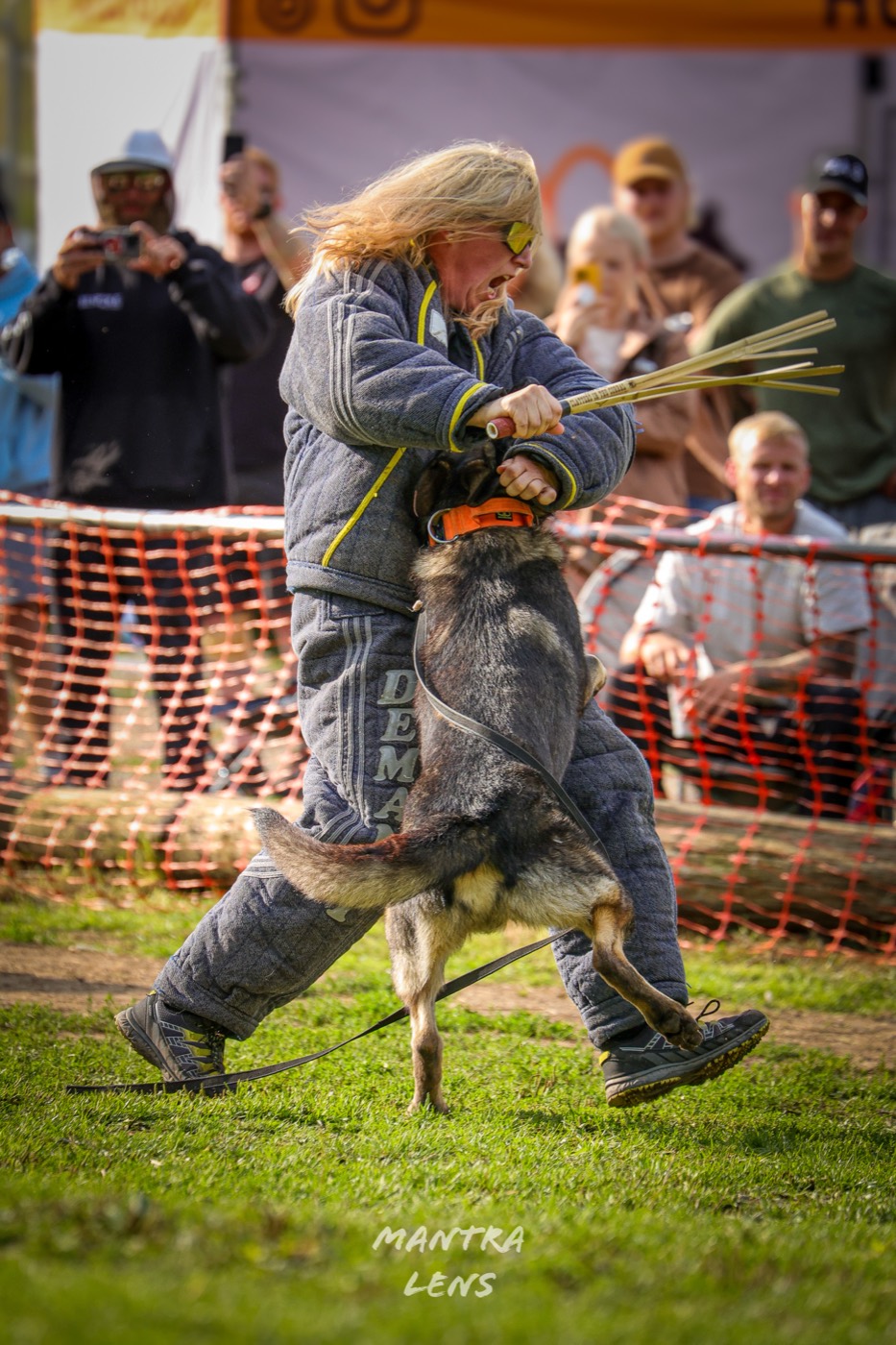 A trainer in a bite suit with a dog gripping the sleeve during a protection demonstration in front of a crowd