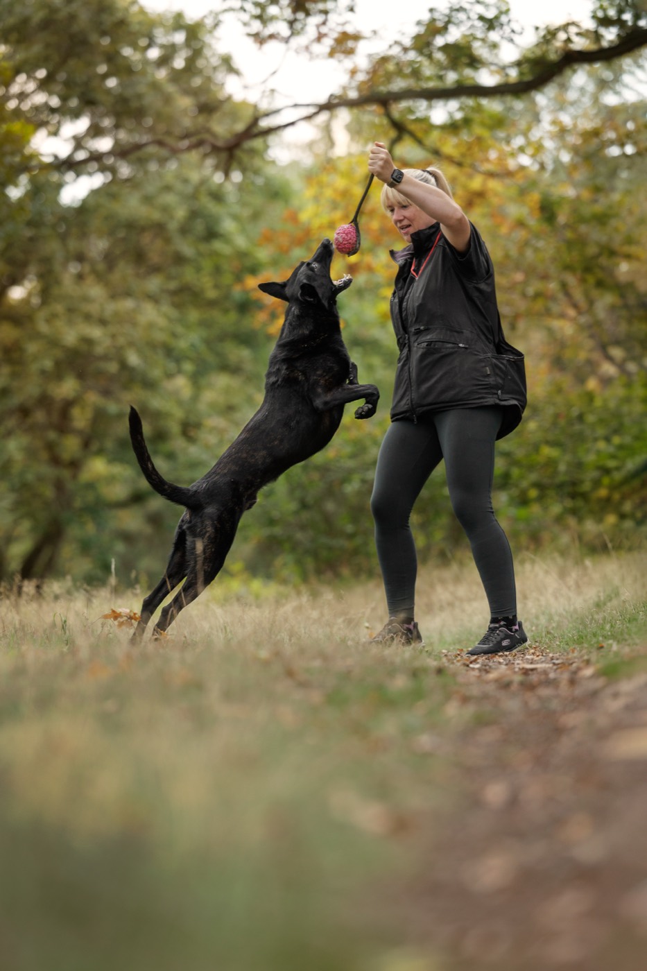 A trainer playing tug with a black dog that is leaping off the ground